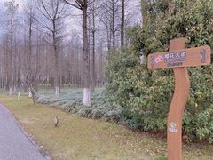 -自然谷恐龙园