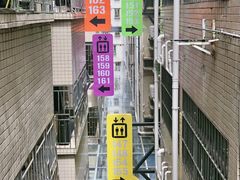 -水围村