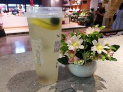 迷迭金桔柠檬茶-1828王老吉·草本新茶(珠江新城地铁站店)