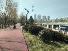 -渭滨公园