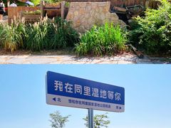 -同里国家湿地公园