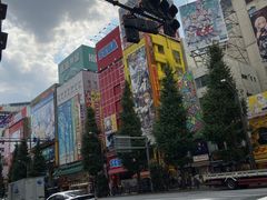 -秋叶原电器街