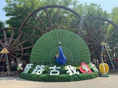 -呀路古热带植物园