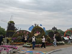 -荷兰花海