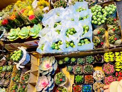 -循礼门鲜花花市(武汉循礼门店)