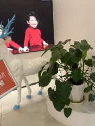 -玛瑞莎专业孕妇摄影(越秀店)