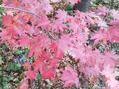 -本溪老边沟风景区