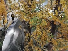 -湖南省地质博物馆