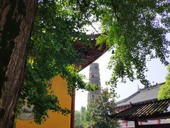 -上海青龙寺
