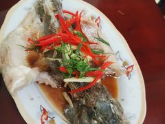 -天鹅到家·保姆月嫂育儿嫂(天河店)