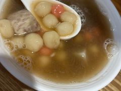 -海丝金凤(金鱼店)