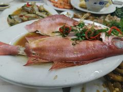 -老三鱼仔店