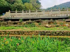 -水濂山森林公园