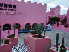 -漳州滨海火山岛自然生态风景区