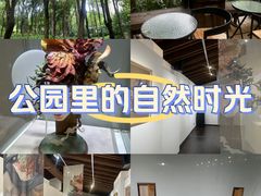 -广州珠江公园