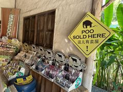 -大象粑粑造纸公园