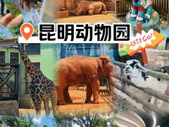 -昆明动物园