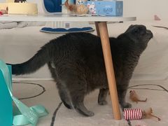 -法兰之吻蛋糕甜品(大望路店)