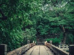 -汇龙潭