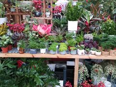 -秦美花卉(天朗·莱茵小城2期店)