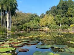 -中国科学院西双版纳热带植物园