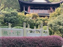 -十八棵（老龙井）御茶园(老龙井店)