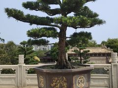 -广东圆玄道观