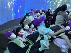 -海合安武汉极地海洋公园