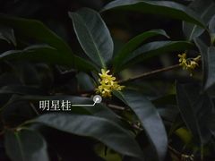 -杭州少年儿童公园