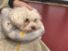 -和它·交个朋友·狗咖猫咖(爱琴海店)