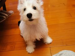 -红辣椒·川菜·火锅(张杨路店)