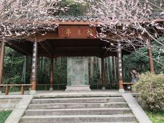 -杭州植物园