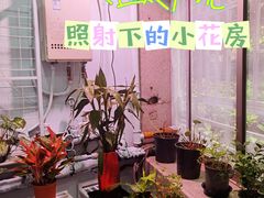-双季花艺园艺市场(浦东店)