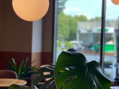 -Wagas沃歌斯(汇智店)