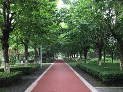 -潜龙渠公园