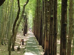 -同里国家湿地公园