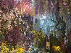 -正佳雨林生态植物园