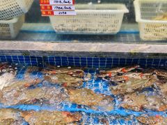 -骏莱海鲜鱼港(五角场店)