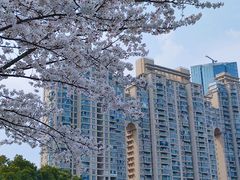 -西北湖绿化广场