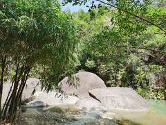 -广州白江湖森林公园