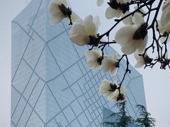 -中央广播电视总台(光华路办公区)