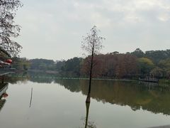 -鹿鸣酒家(越秀店)