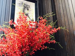 -颐和•海鲜砂锅粥•啫啫煲(奥林匹克广场店)