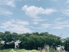 -MUSEO COFFEE咖啡博物馆