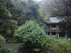 android_upload_pic-十八棵（老龙井）御茶园(老龙井店)