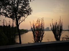 -上海滴水湖皇冠假日酒店