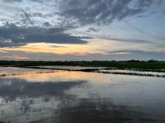 -维乐口腔医院(星海湾分院)