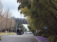 -常州环球恐龙城维景国际大酒店