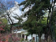 -云禾壹海景庄园餐厅