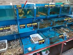 水产区-张家卫·阳江菜·小海鲜(肥婆湾桥店)